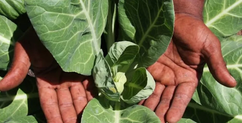 Order ahead and pick up quickly—easy shopping for busy days.