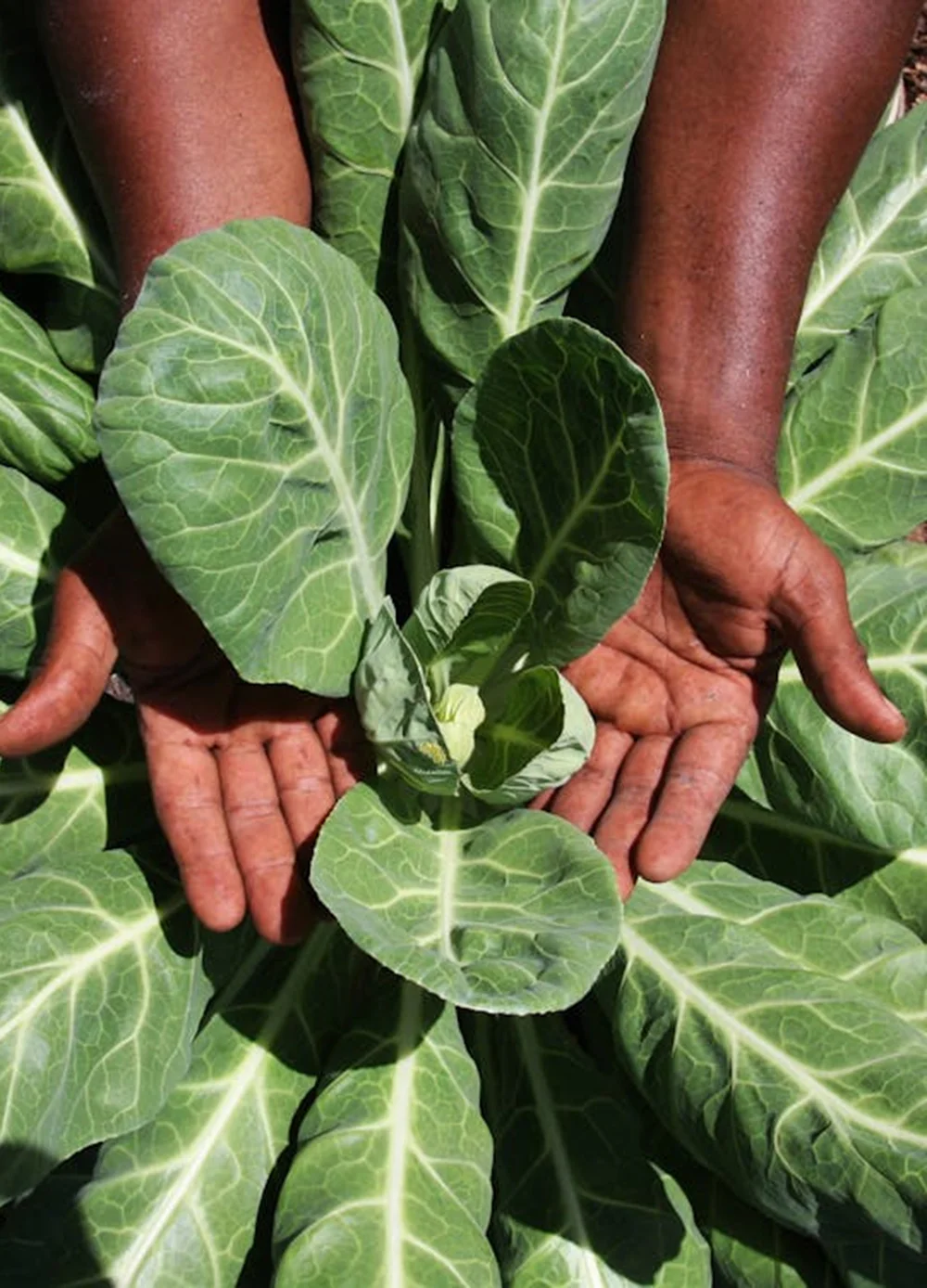 Order ahead and pick up quickly—easy shopping for busy days.