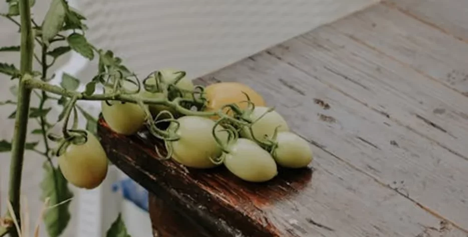 Teas, coffees, juices, and cold drinks—refreshments for every taste.