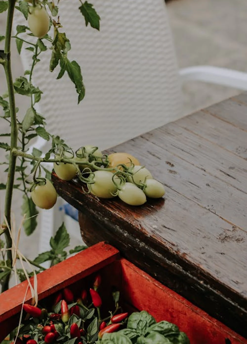 Teas, coffees, juices, and cold drinks—refreshments for every taste.