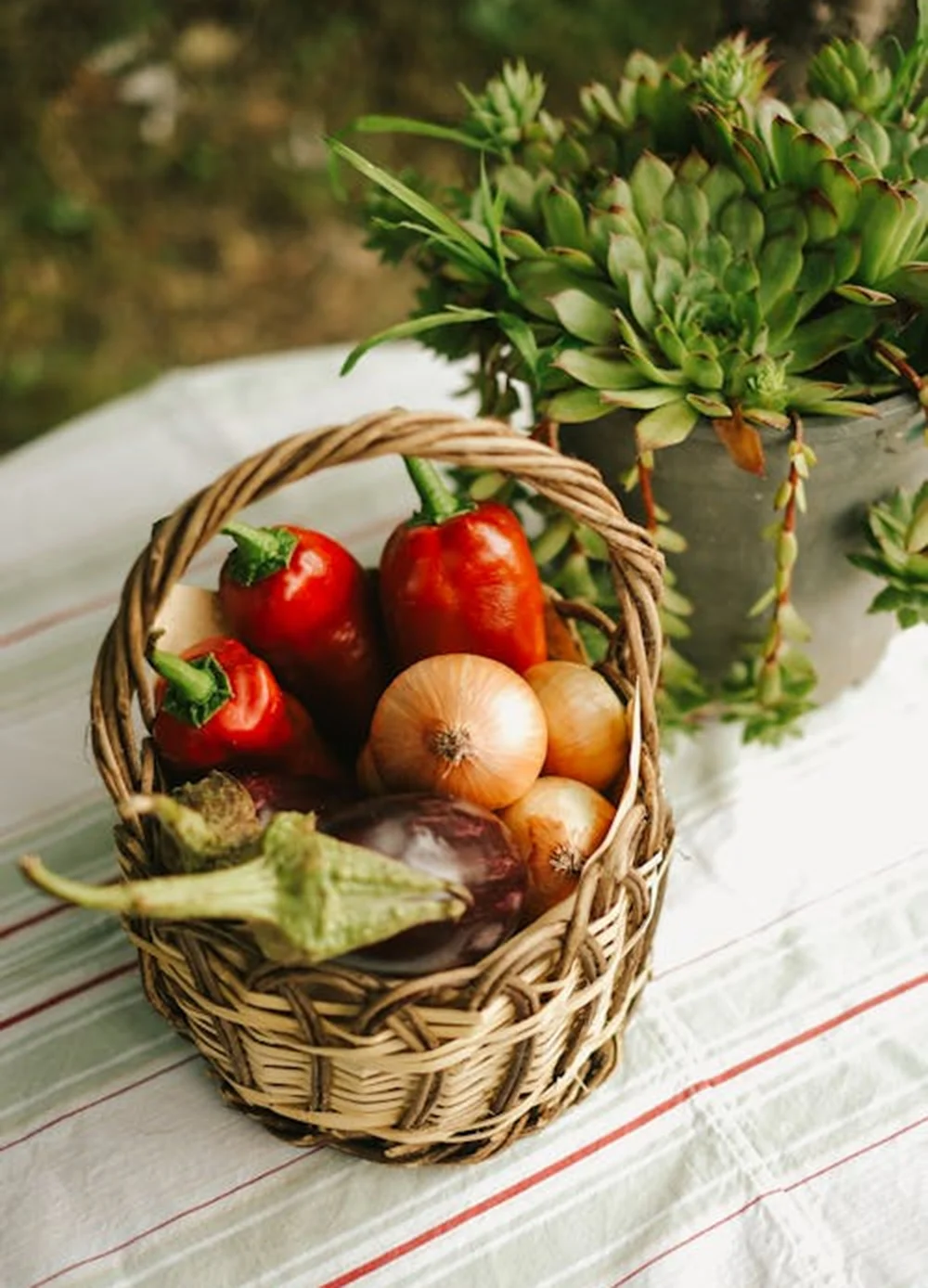 Frozen veggies, meats, snacks, and ready-to-cook options—freshness locked in.