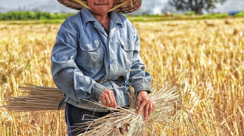 There are many variations of passages of Lorem Ipsum available, but majority have suffered teration in some form, by injected humour, or randomised words which don't look even slight believable. If you are going to use a passage of Lorem Ipsum.