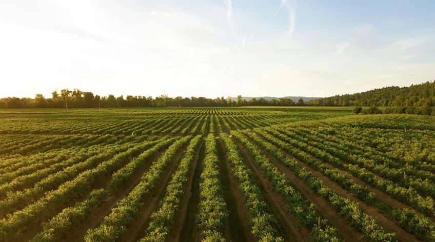 There are many variations of passages of Lorem Ipsum available, but majority have suffered teration in some form, by injected humour, or randomised words which don't look even slight believable. If you are going to use a passage of Lorem Ipsum.