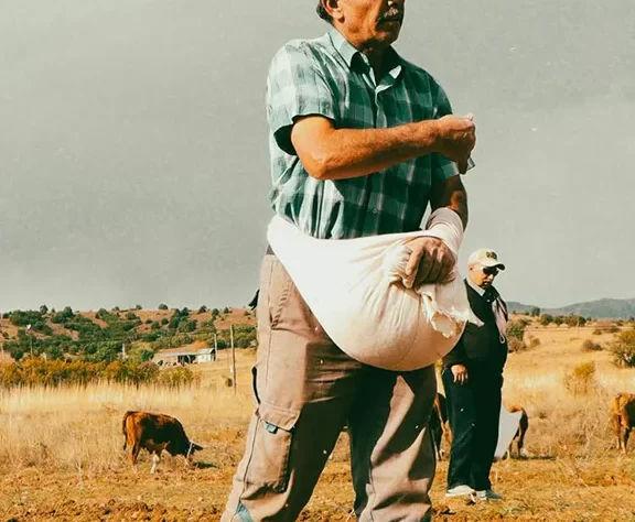 Fresh, juicy, and full of flavor—perfect for snacking, smoothies, and family meals.